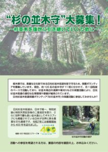 “杉野並木守”（保護ボランティア）大募集！～杉並木を後世に引き継いでいくために～のサムネイル