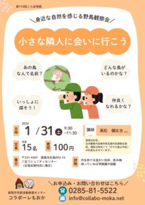 こらぼ茶話_小さな隣人に会いに行こうのサムネイル